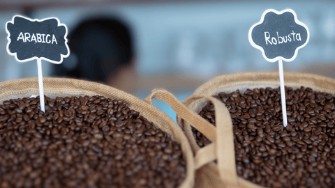 sacchi di caffè arabica e robusta